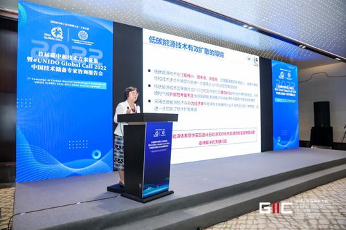 2022首屆碳中和技術(shù)方案征集暨UNIDO Global Call中國技術(shù)儲備專家咨詢報(bào)告會在烏鎮(zhèn)舉行